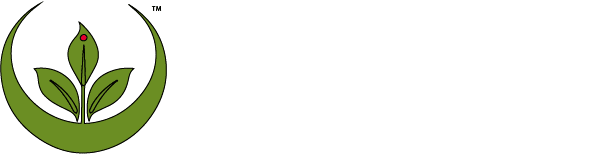 RegenlogTM (2)