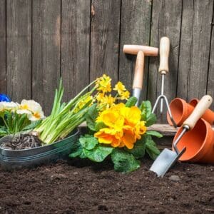 A garden with flowers and gardening tools in the dirt.