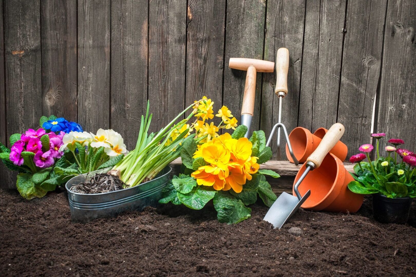 A garden with flowers and gardening tools in the dirt.