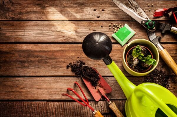 A wooden table with gardening tools and plants.