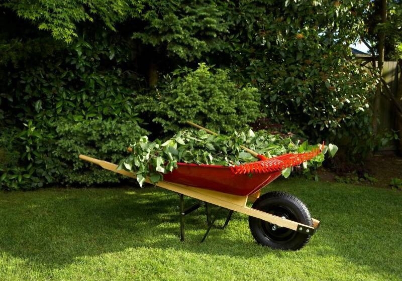 A red and black wheel barrow with some bushes in it