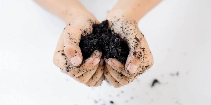 A person holding dirt in their hands