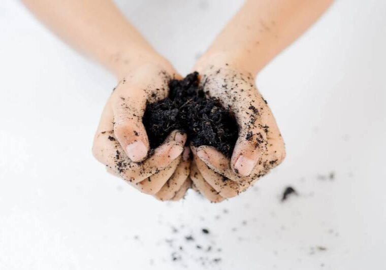 A person holding dirt in their hands